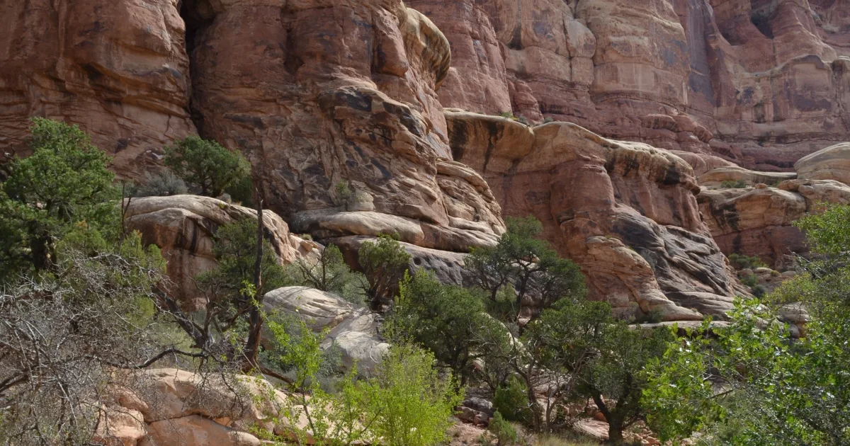 Elephant Rock Trail