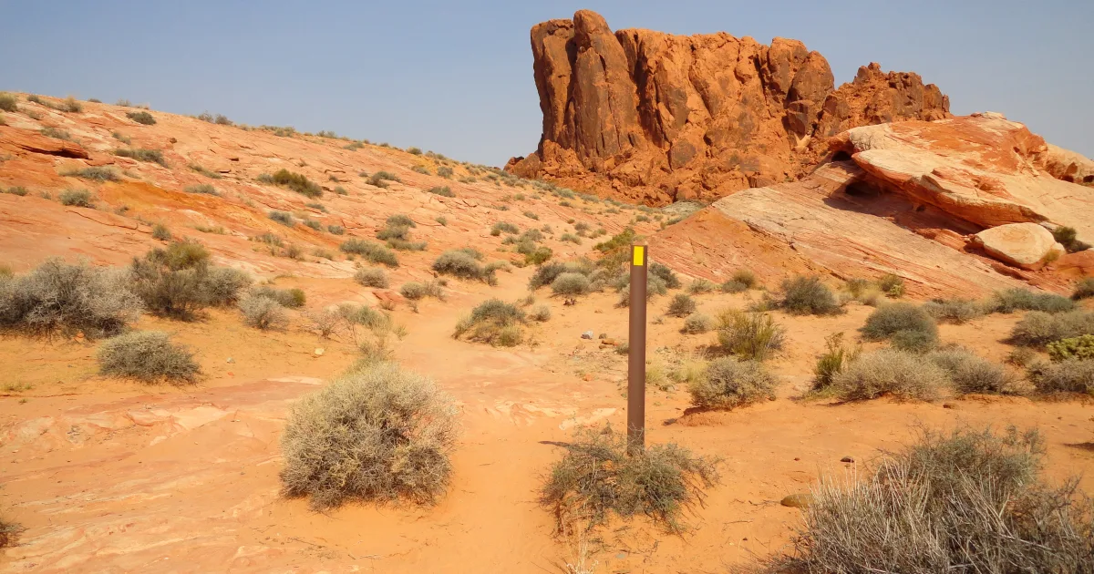 Fire Wave Trail