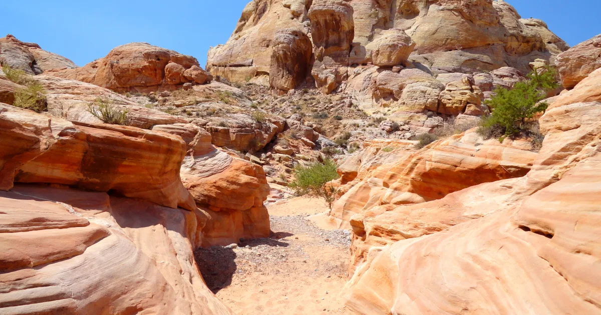 White Domes Loop