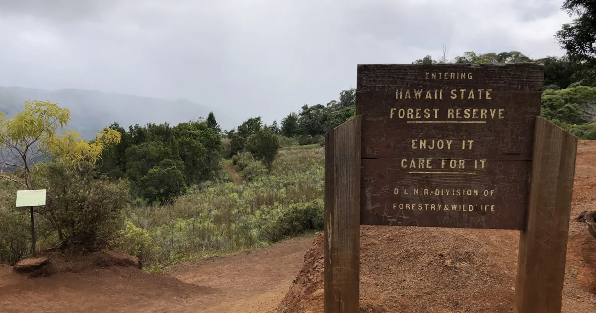 Iliau Nature Loop
