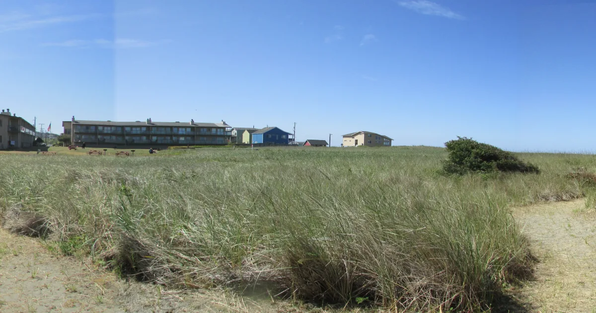 Beach and Dune Walk