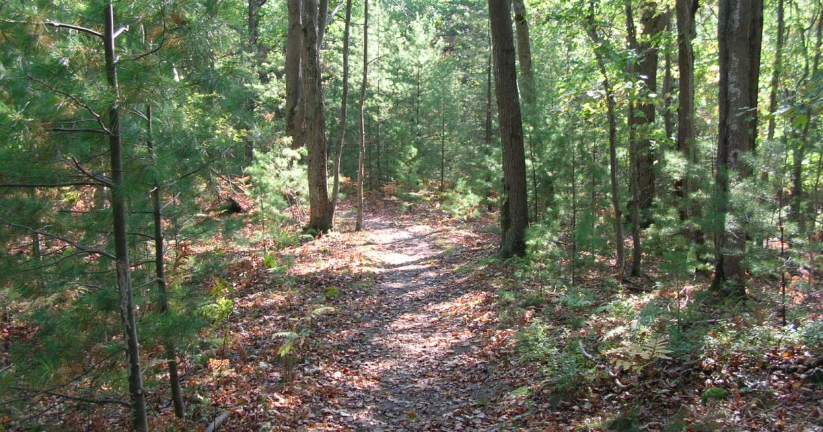 Indian Trail