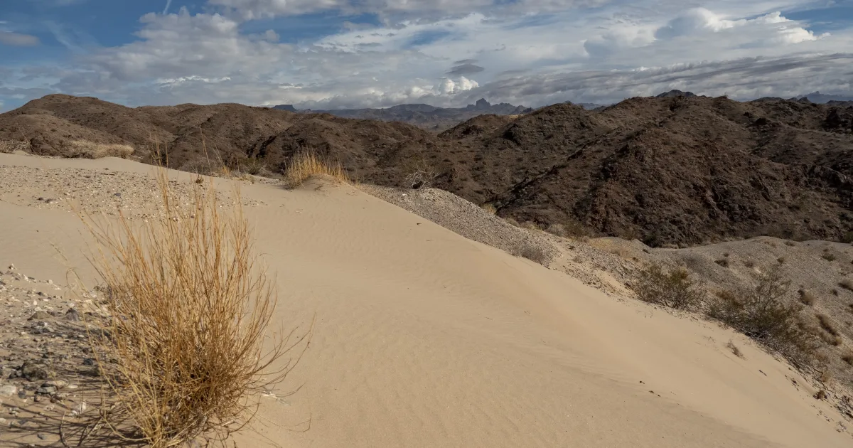 Sand Lake Trail