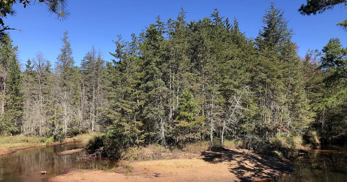 Mullica River Trail