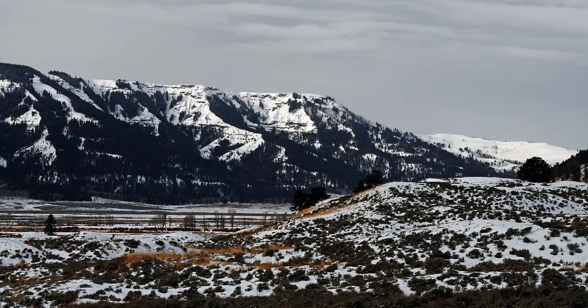 Specimen Ridge Trail