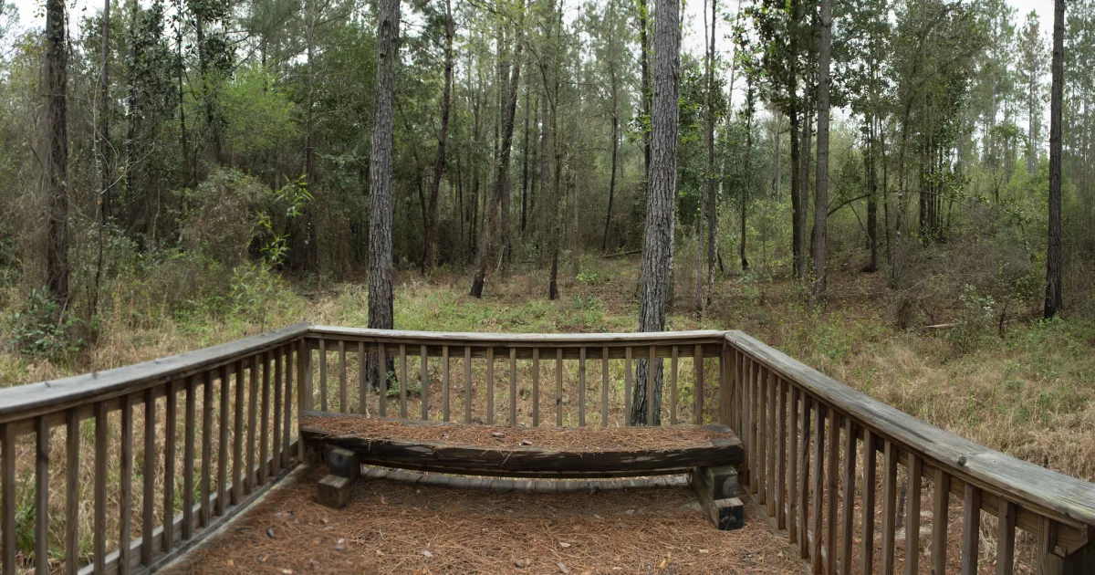 Splinter Hill Bog Trail