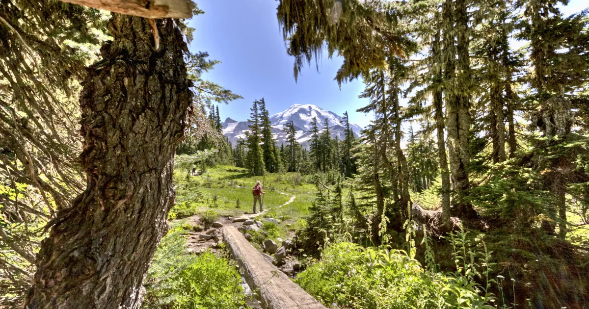 Spray Park Trail — Rainier