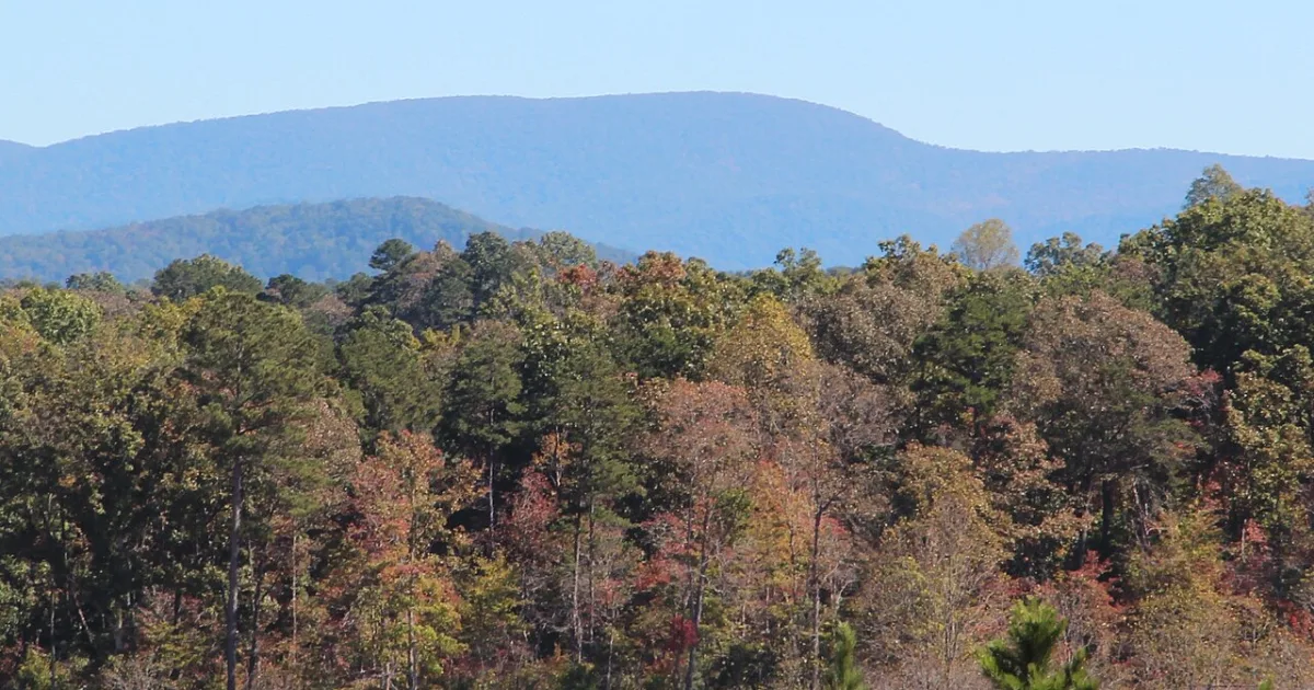 Springer Mountain Trail — Chattahoochee NF, GA