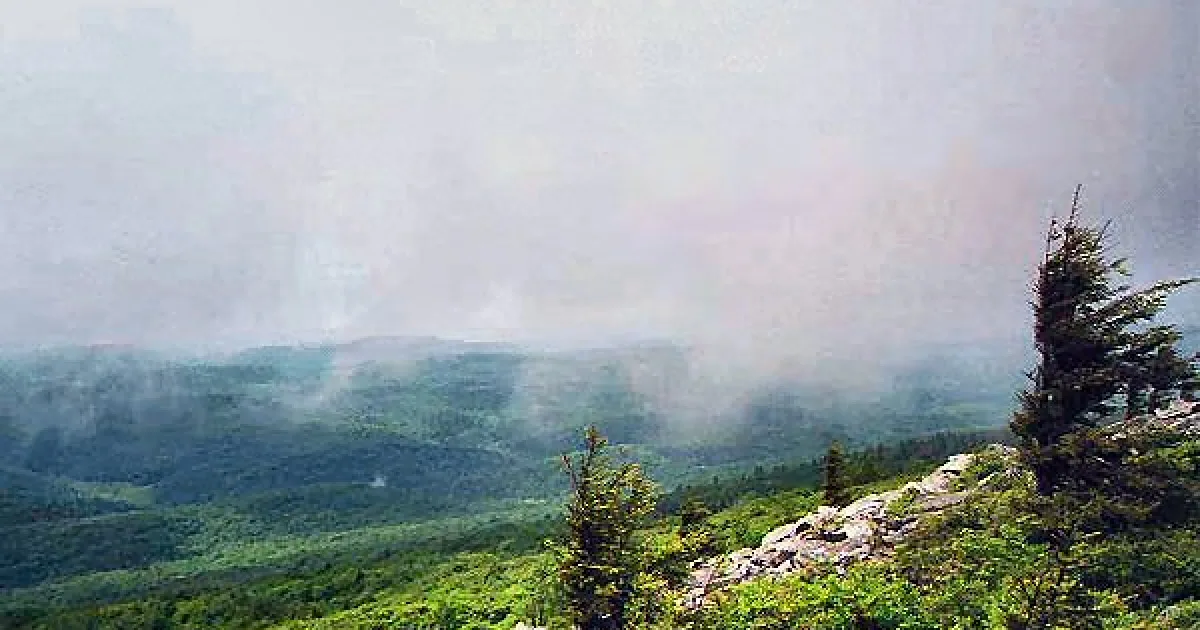 Spruce Knob Summit Trail — Riverton, West Virginia