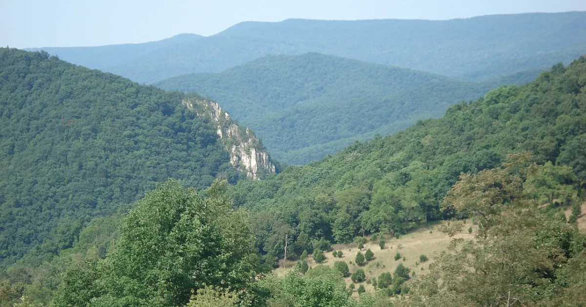 Spruce Knob Summit Trail