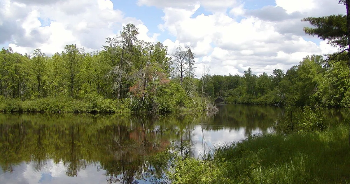 St. Croix State Park Loop