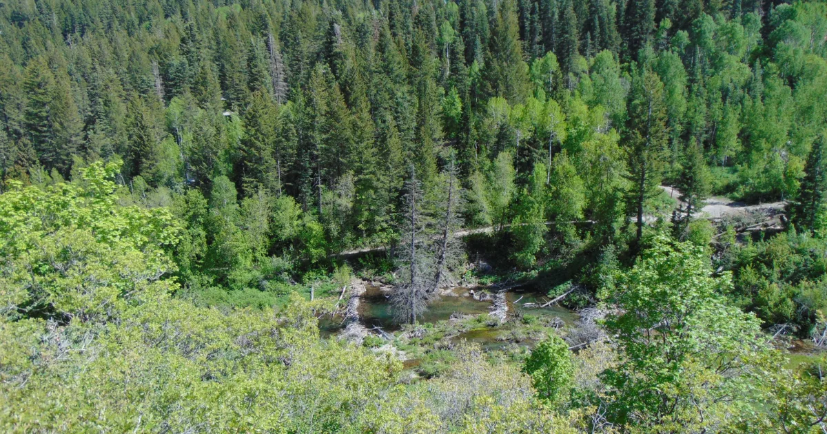 Stewart Falls: A Stunning Wasatch Waterfall Above Sundance Resort