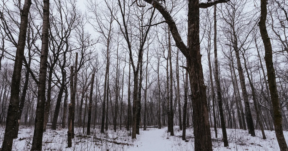 Stillwater Brown Creek Trail