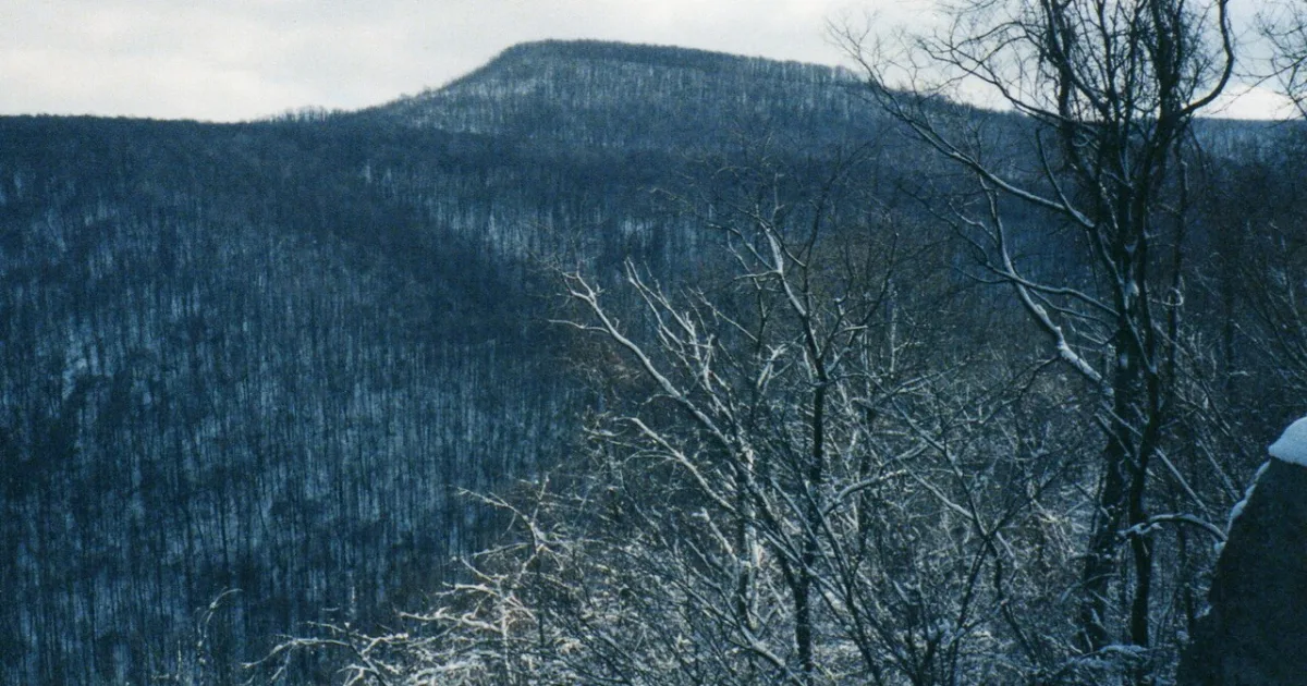 Sugarloaf Knob Trail — Ohiopyle