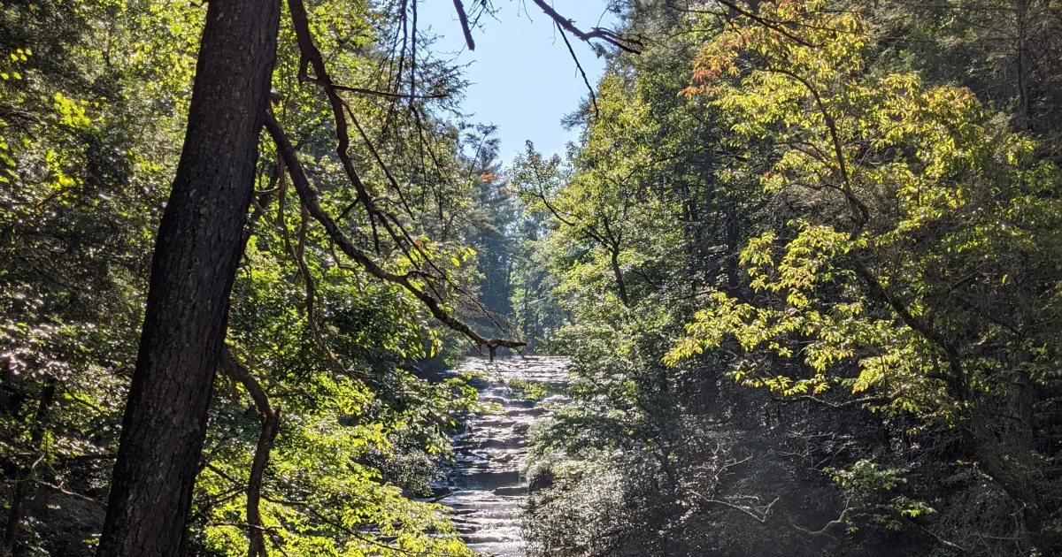 Sumter National Forest: Winding Stairs Trail MTB — Long Creek, SC