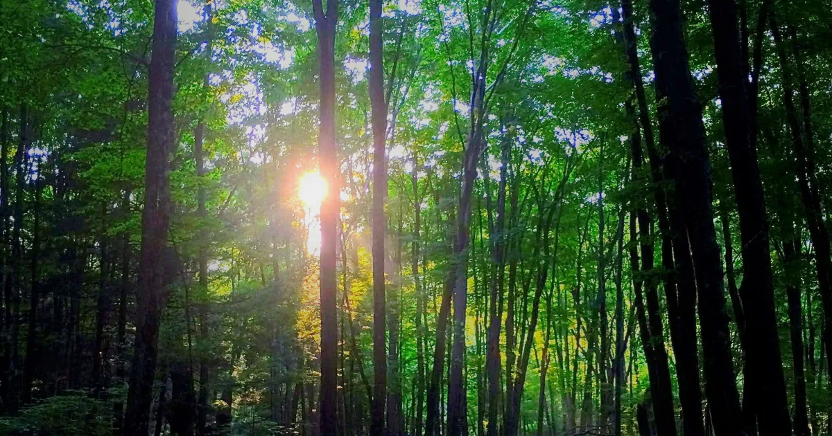 Sun Point Nature Trail