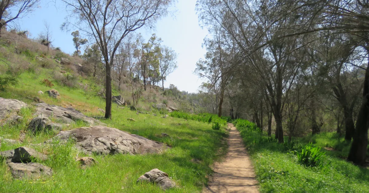 Swan River Trail