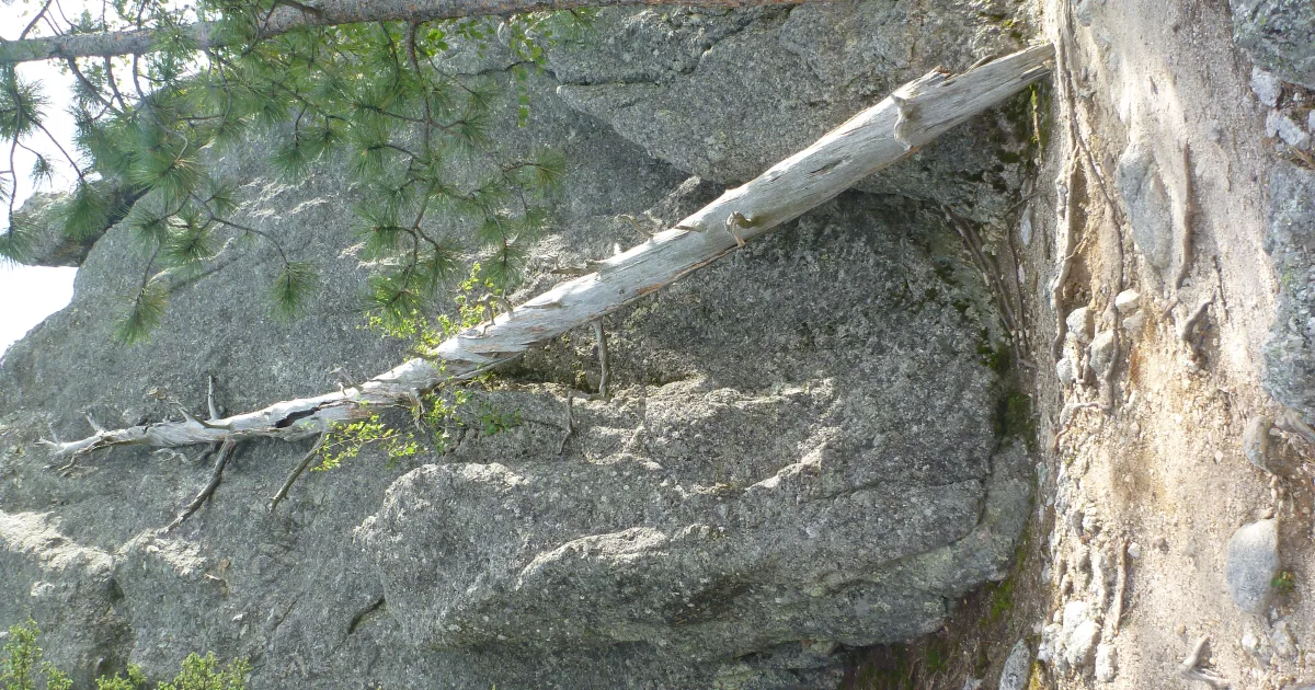 Sylvan Lake Shore Trail
