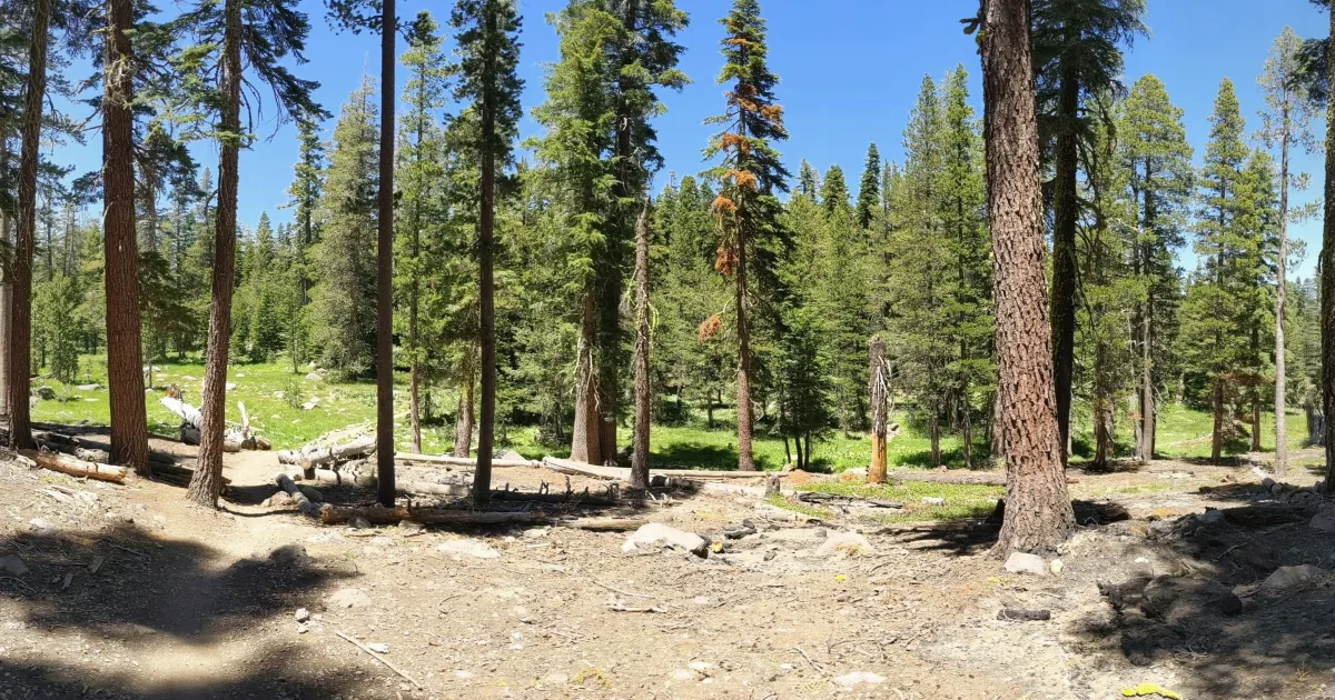 Tahoe Meadows Rim Loop