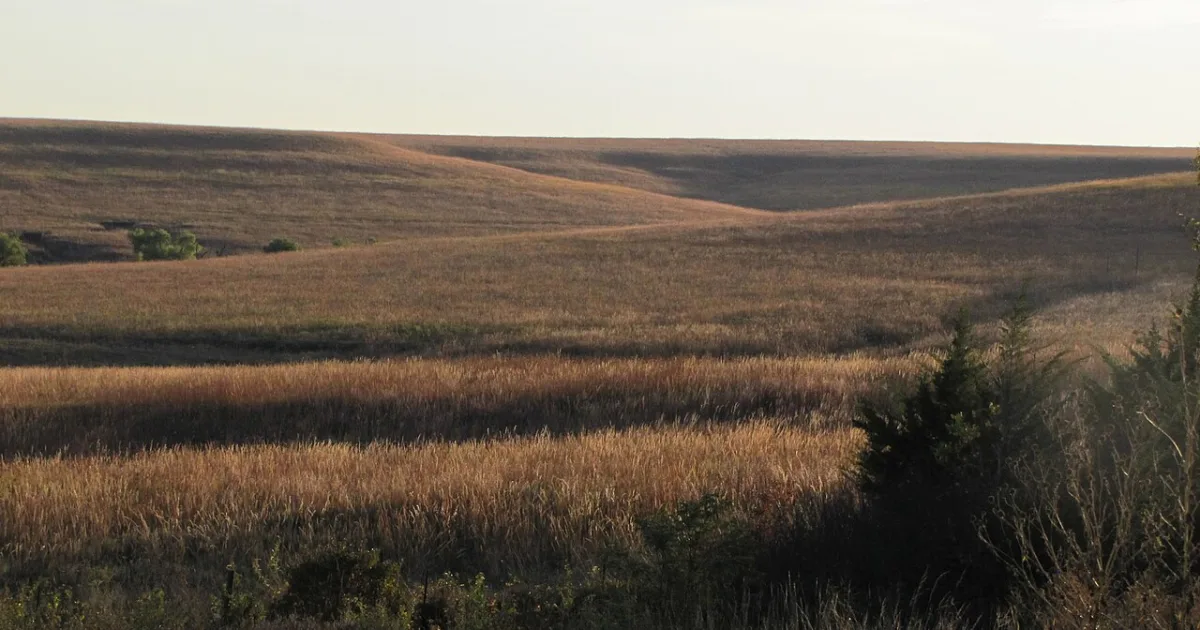 Tallgrass Prairie National Preserve Loop — Strong City, Kansas