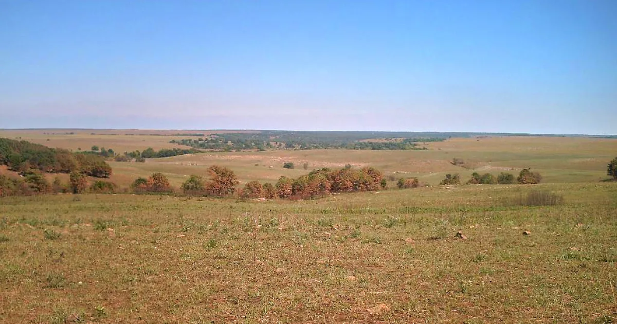 Tallgrass Prairie Preserve Trail