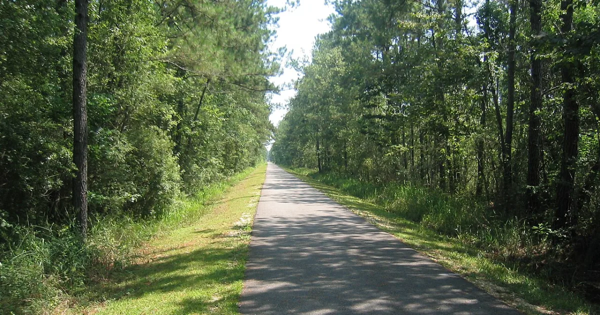 Tammany Trace