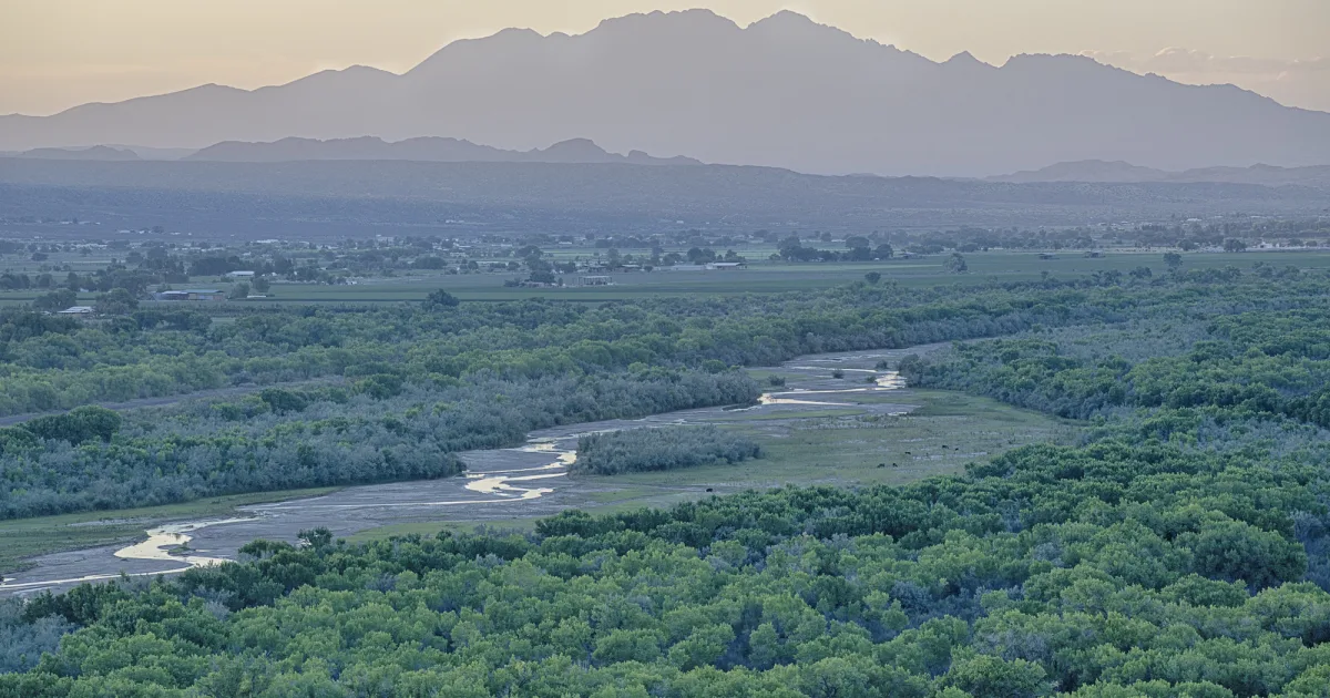 Tensaw River Delta Trail
