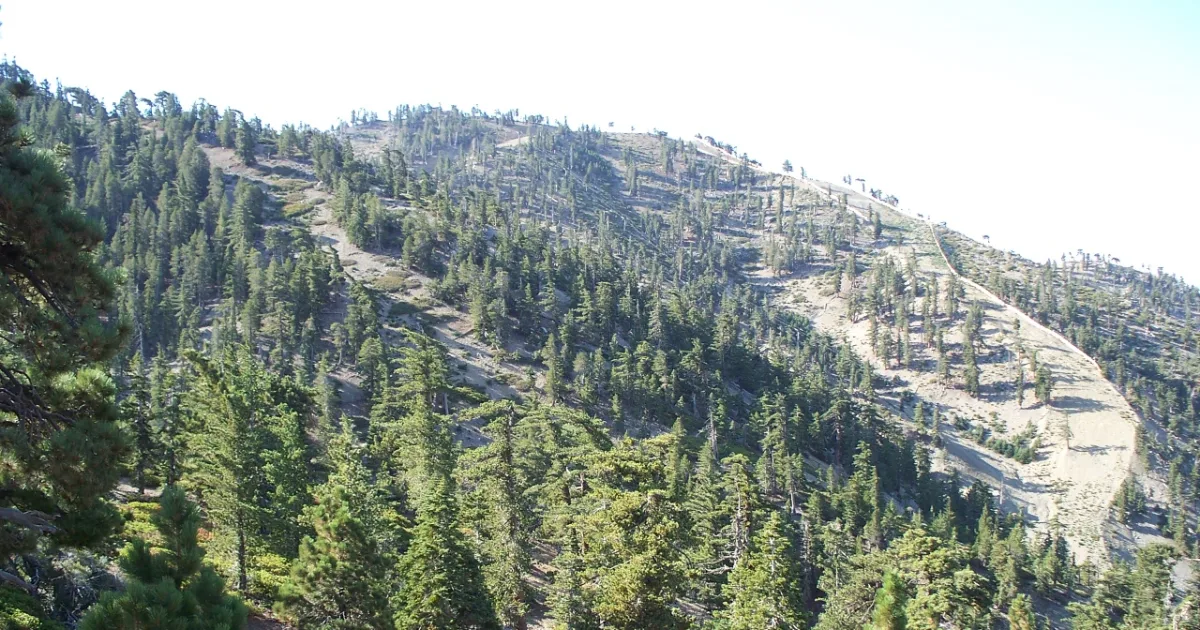 Thunder Mountain Trail Juneau