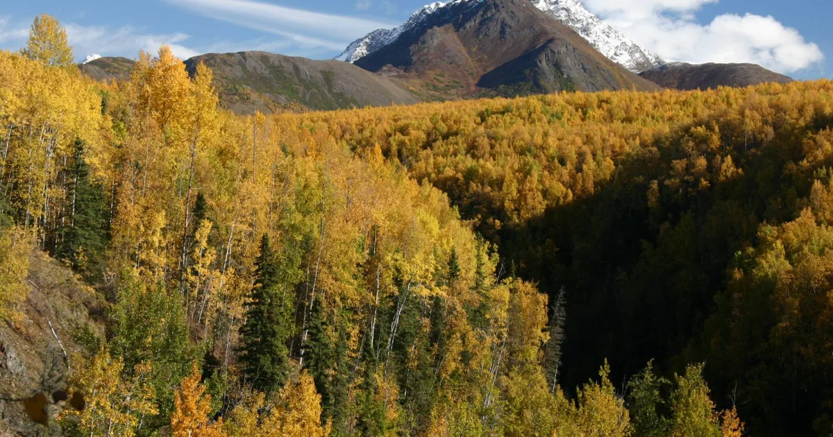 Thunderbird Falls Trail — Eagle River, Alaska