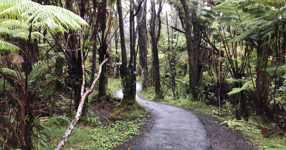 Thurston Lava Tube Trail