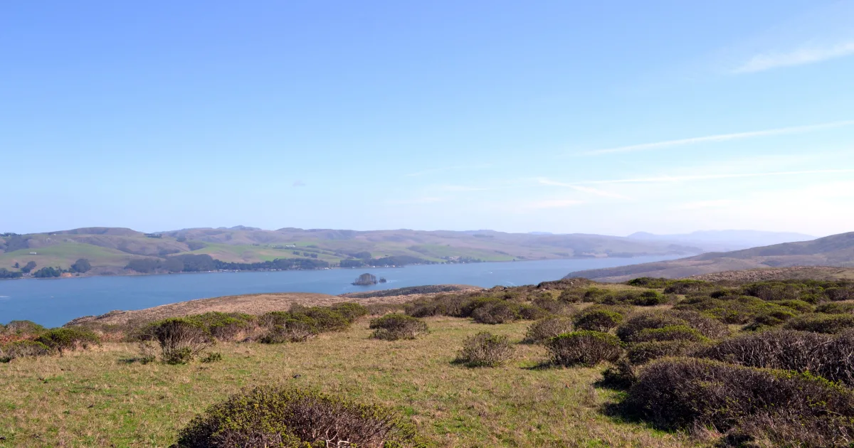 Tomales Point Trail