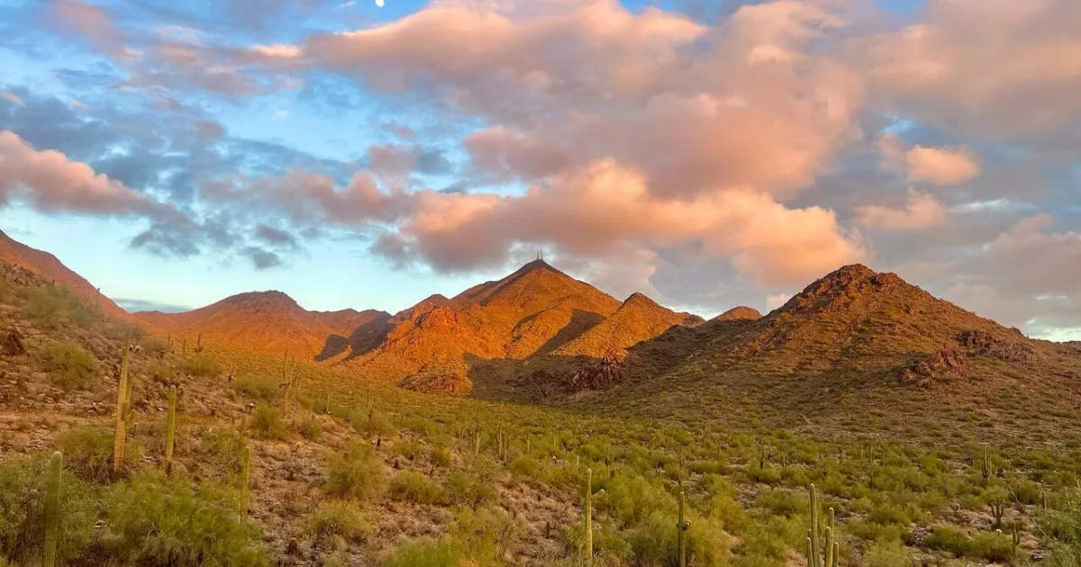 Tom's Thumb Trail — Scottsdale, Arizona