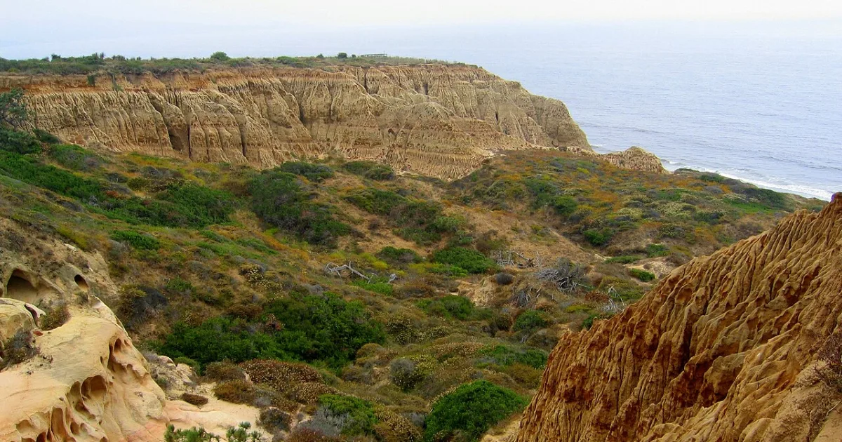 Torrey Pines State Reserve Loop