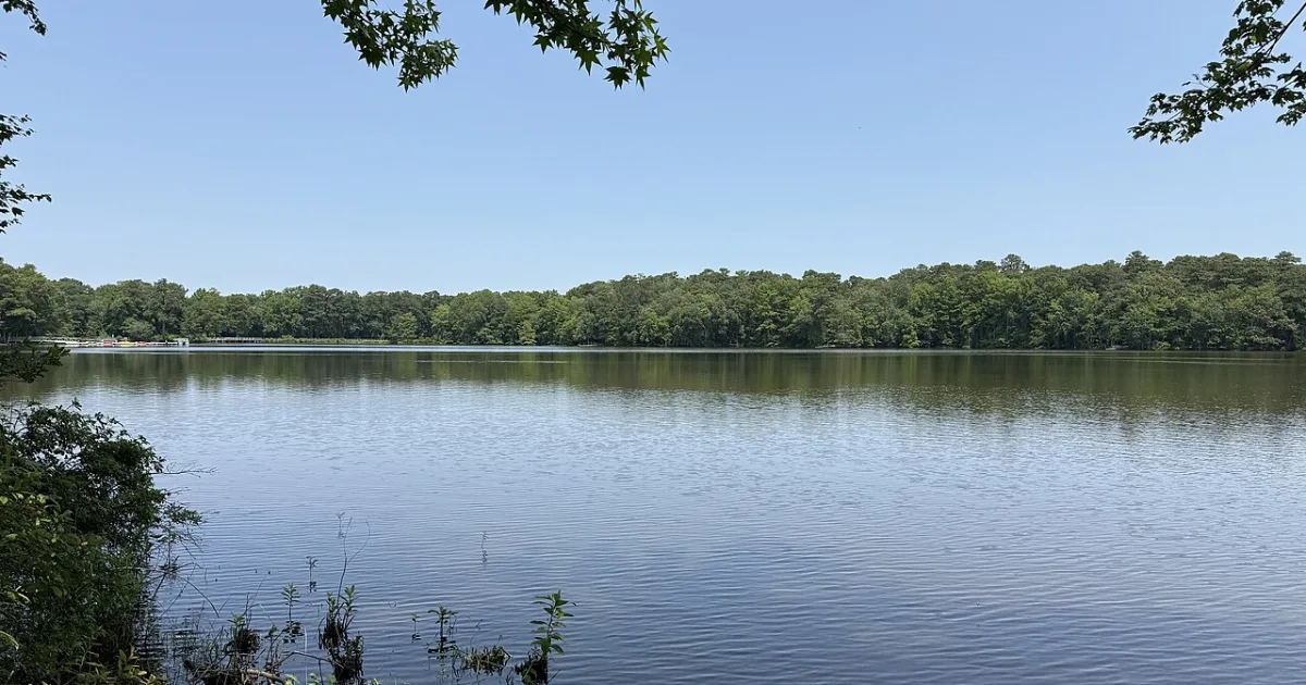 Trap Pond State Park Trail