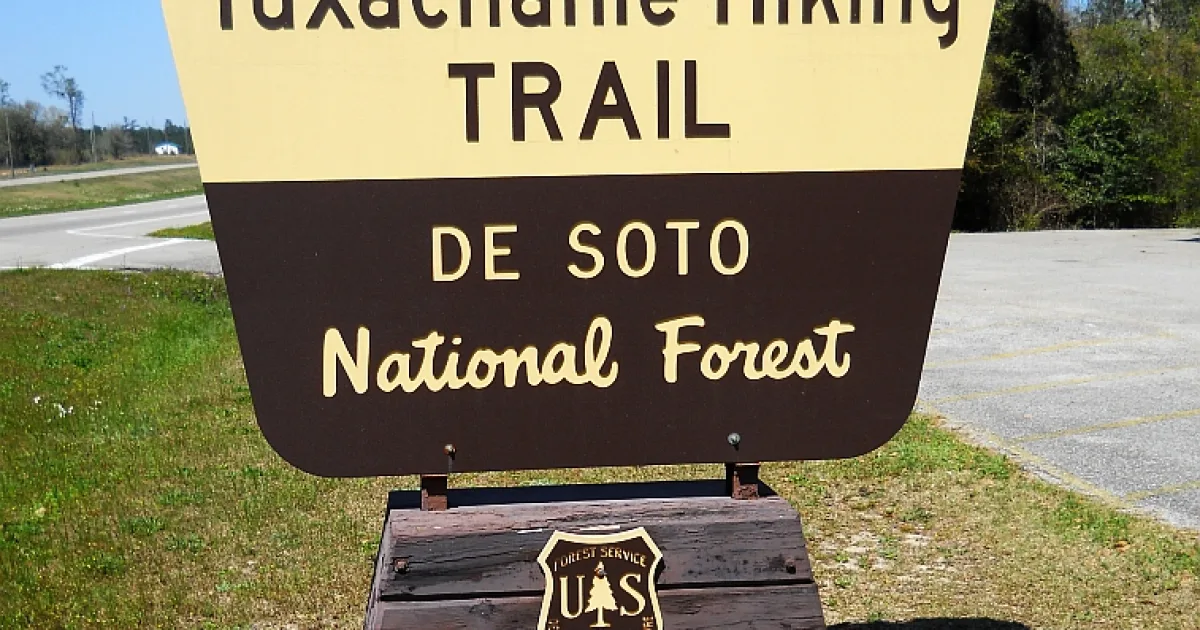 Turkey Fork Recreation Area Trail