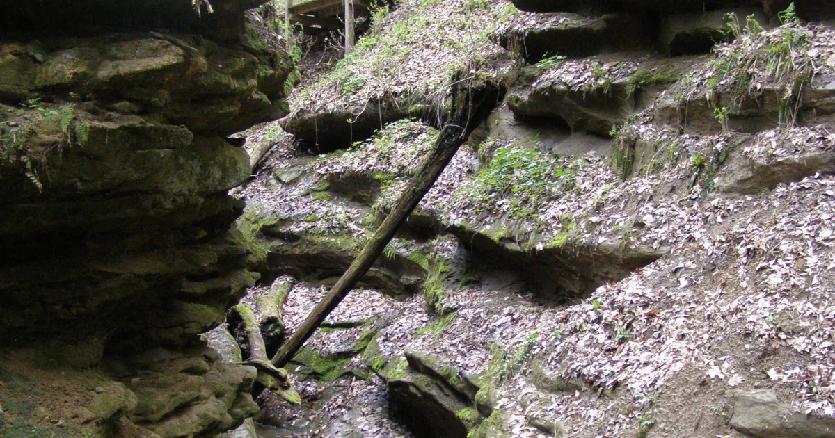 Turkey Run State Park Ladder Falls Loop — Marshall, Indiana