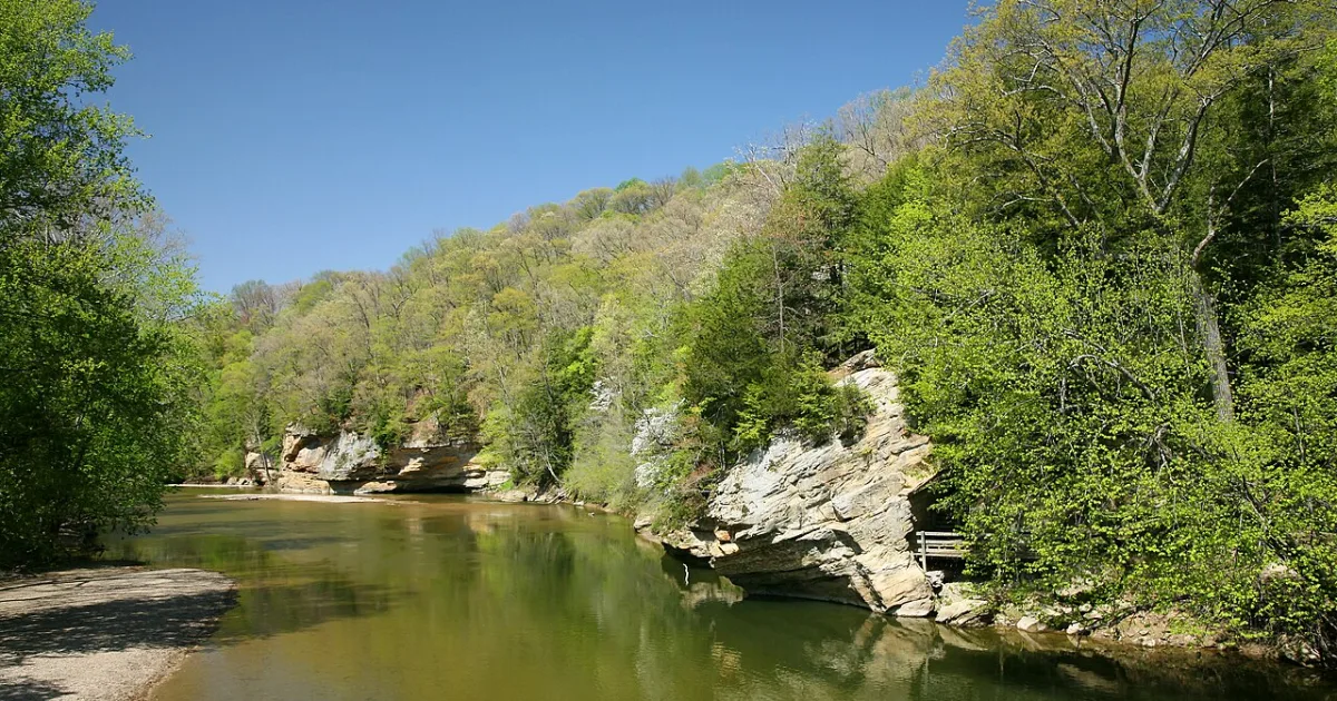 Turkey Run Suspension Bridge Trail