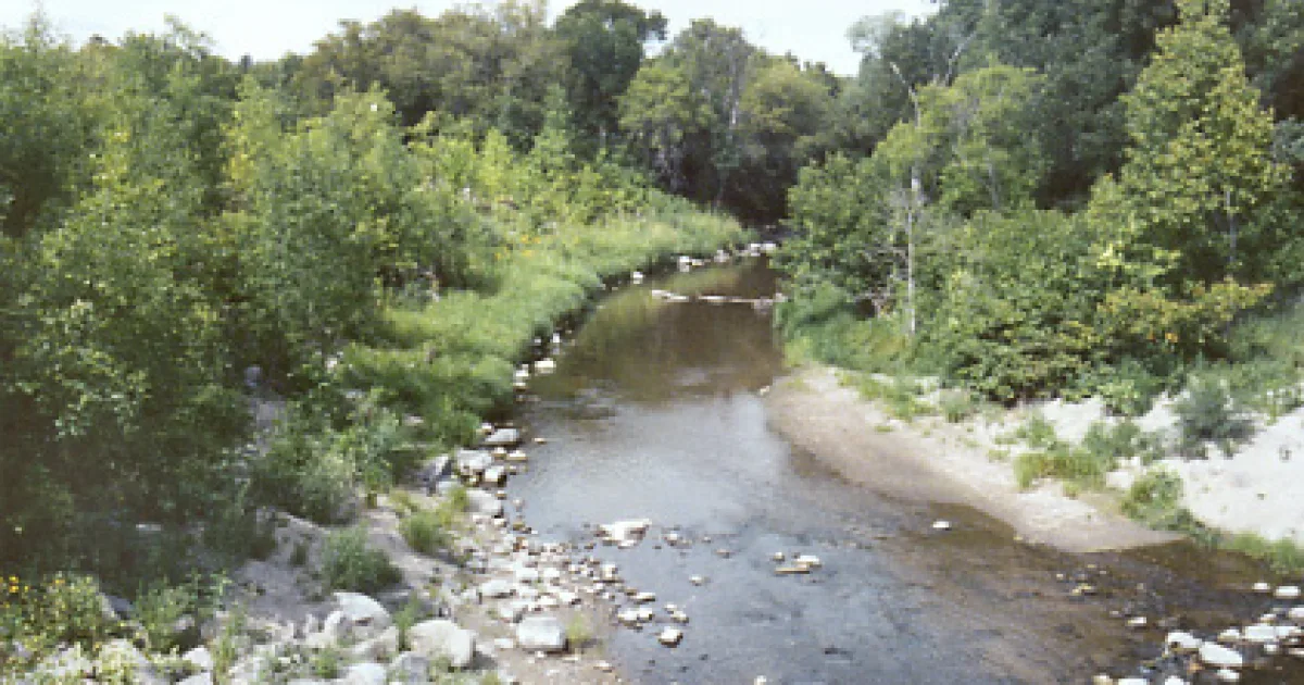 Turtle River State Park Trail