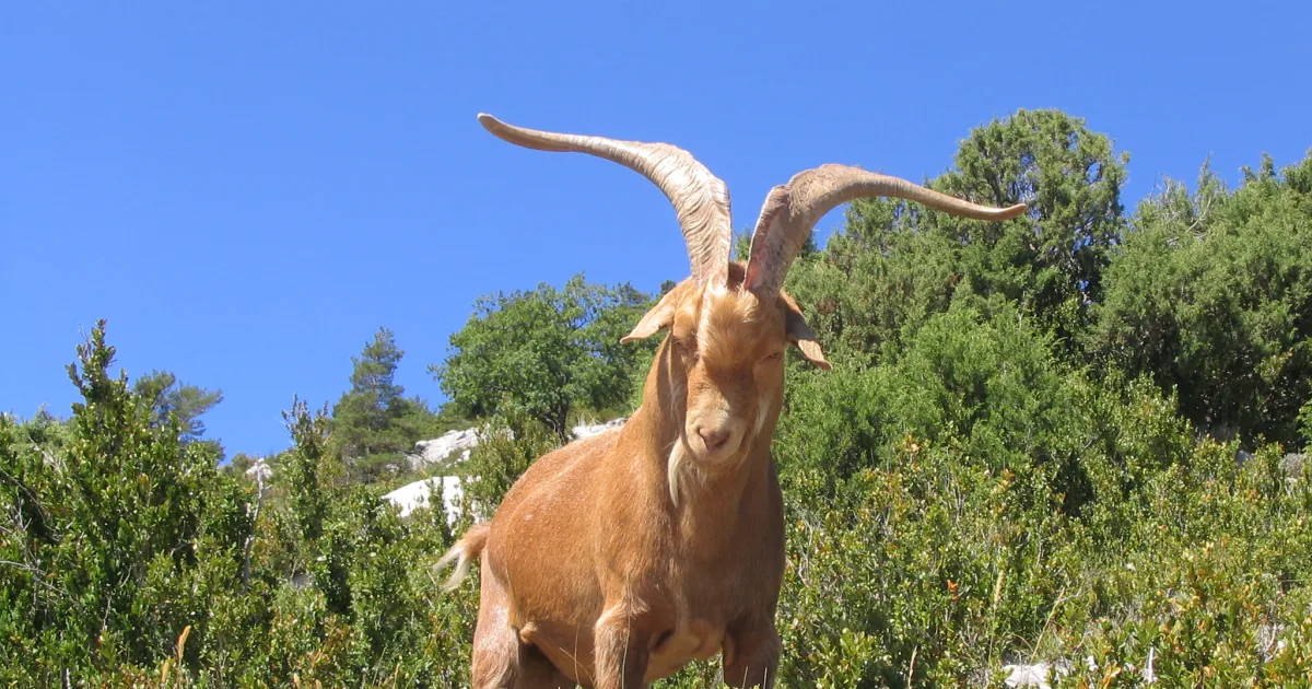 Verdon Lake Trail