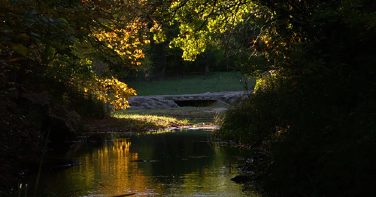 Veterans Lake Trail