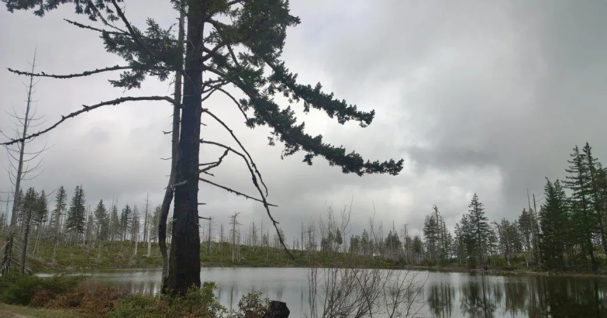 Vulcan Lake Trail — Kalmiopsis Wilderness