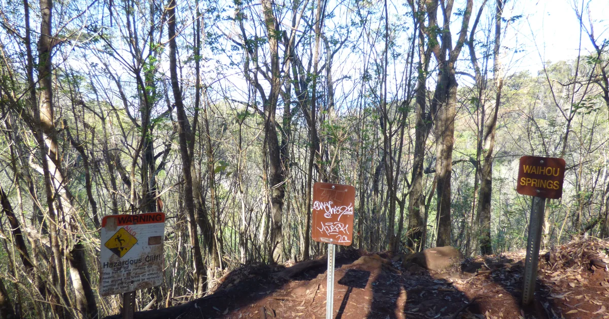 Waihou Spring Trail Maui