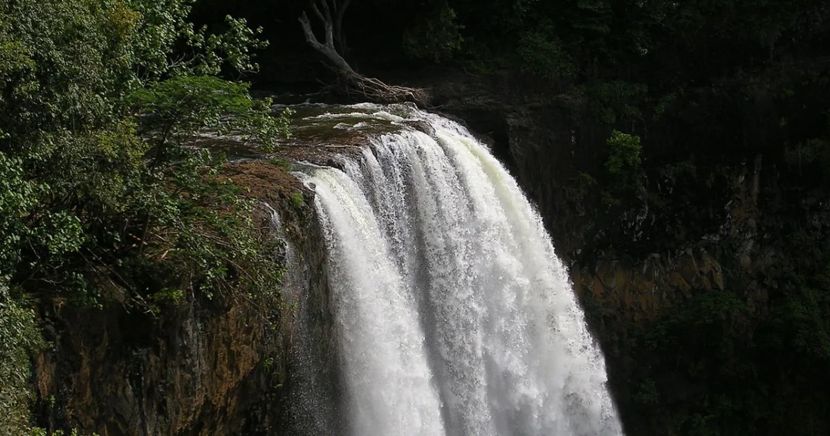 Wailua Falls Trail Kauai