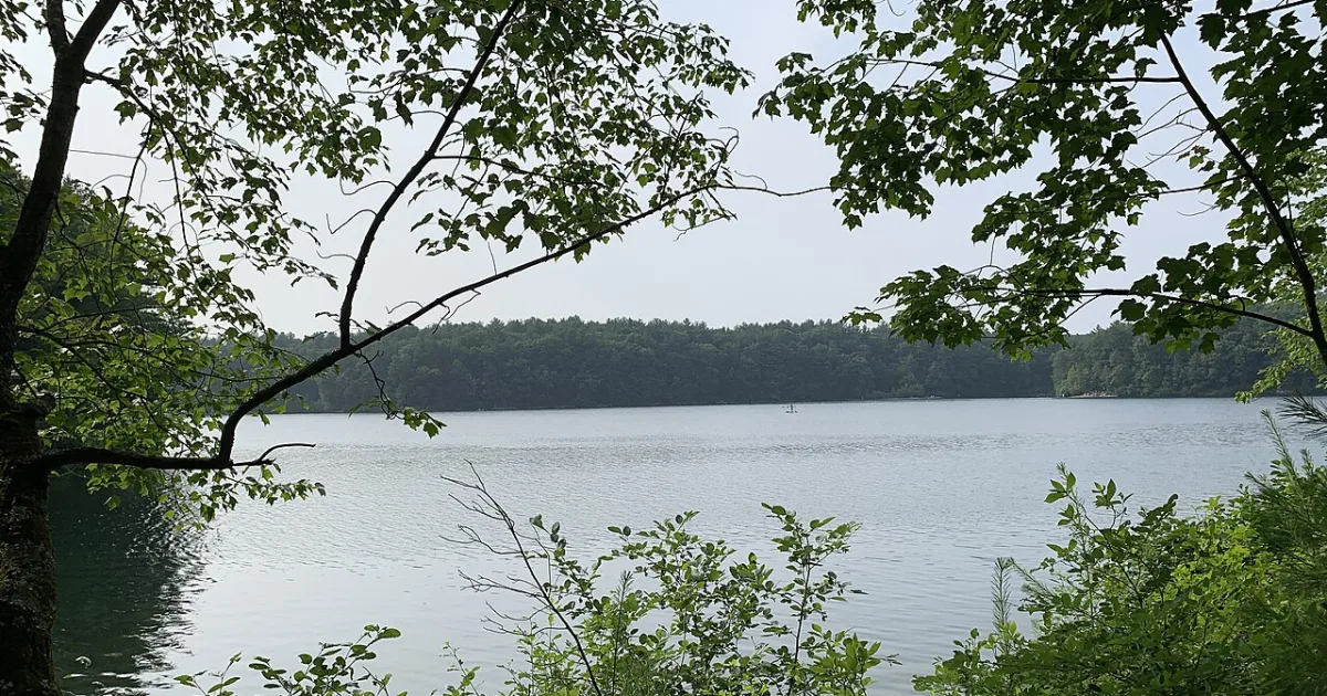 Walden Pond Trail