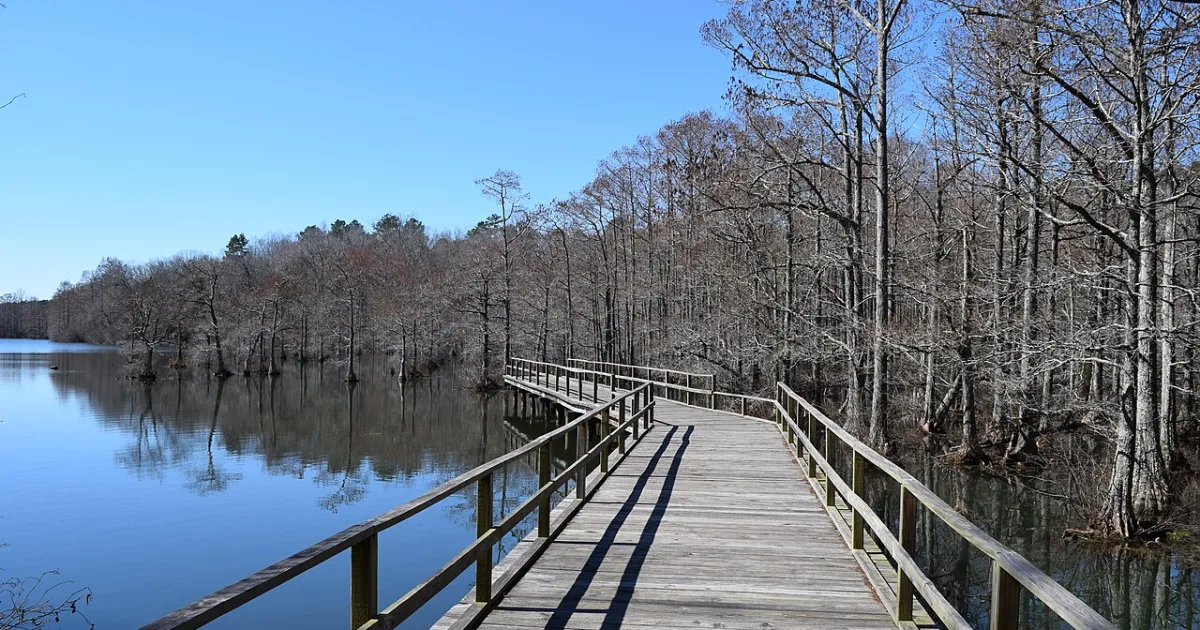 Wall Doxey State Park Trail