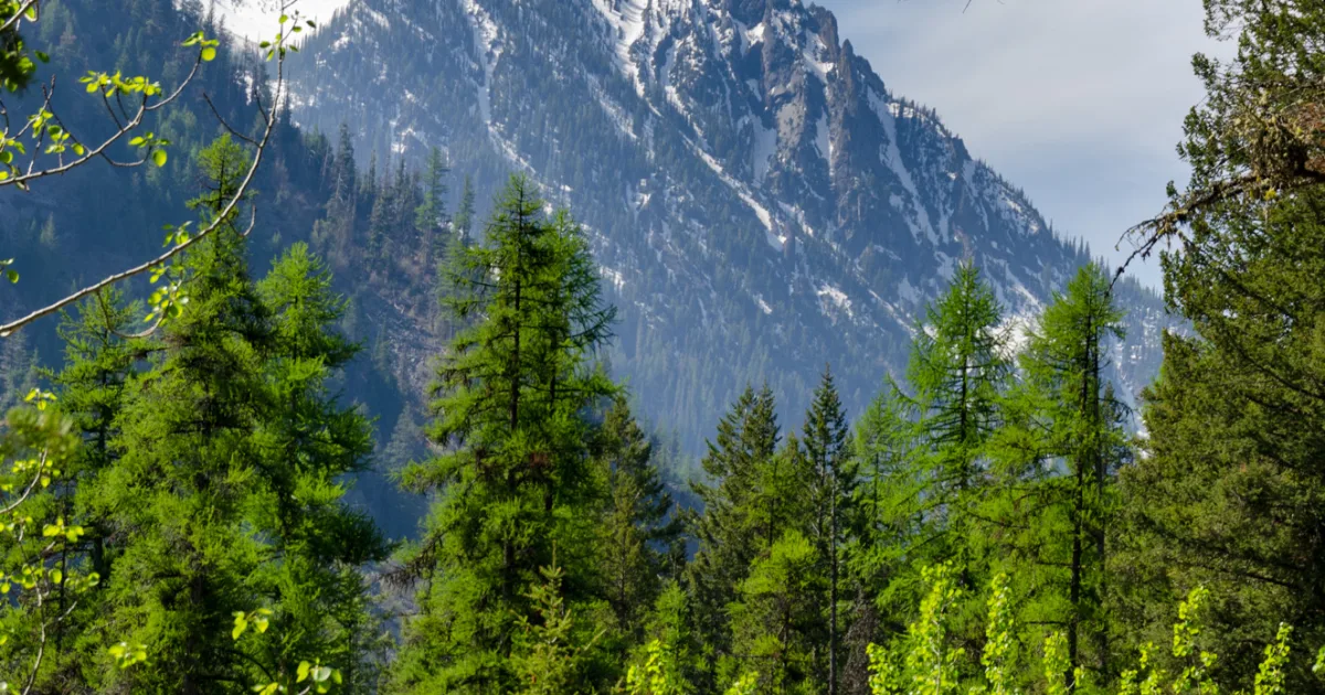 Wallowa Lake — Ice Lake Trail