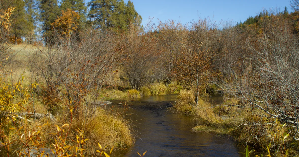 Warm Spring Creek Trail