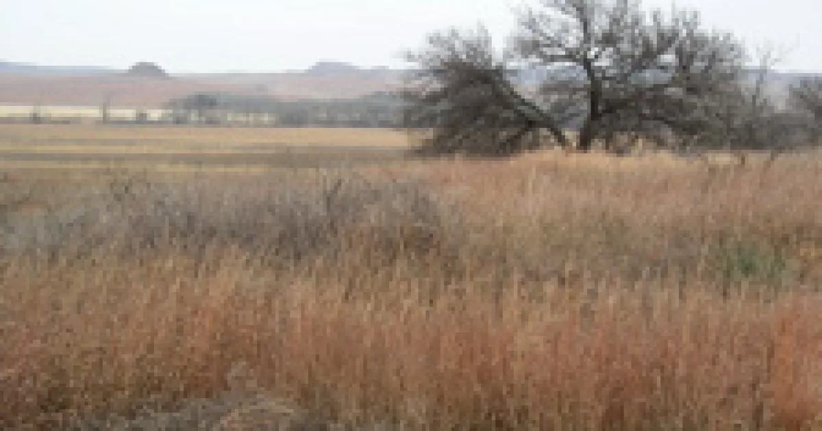 Washita Battlefield Trail