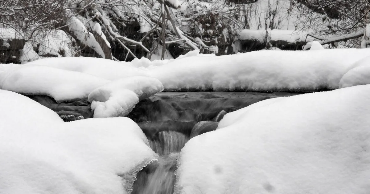 Waterfall Glen Forest Preserve