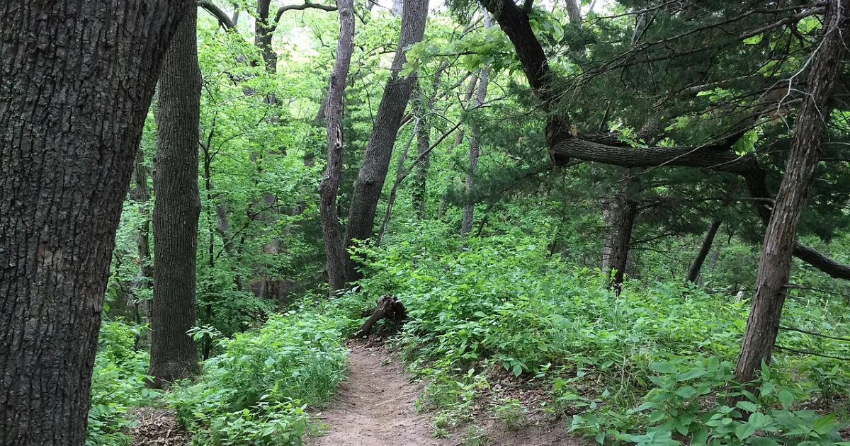 Waubonsie State Park Loess Trail